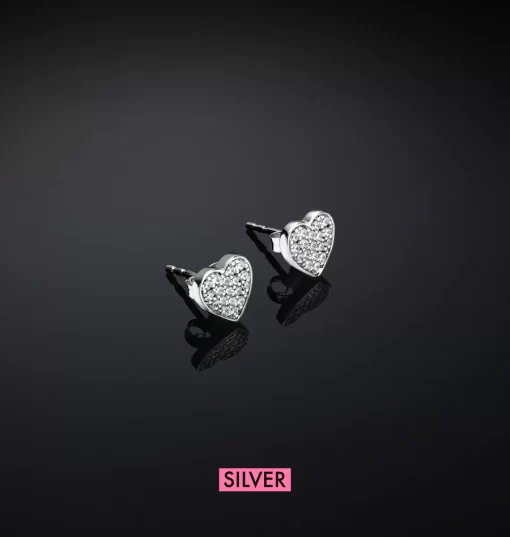J19axd05 Silver Earrings.1 900x