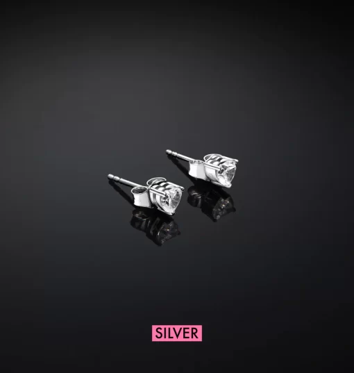 J19axd06 Silver Earrings.1 900x